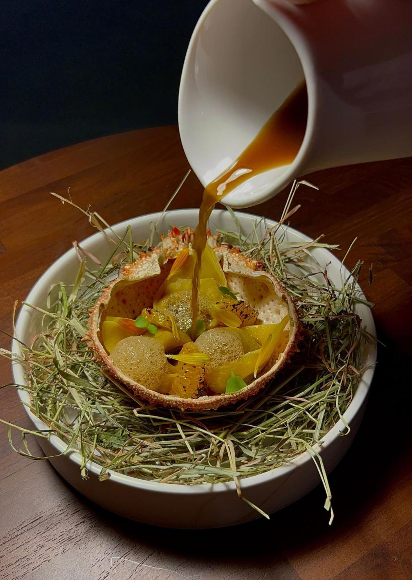 Hotel Maison Pavlov - Restaurant & Spa - Bordeaux Bouscat Le Bouscat Bagian luar foto